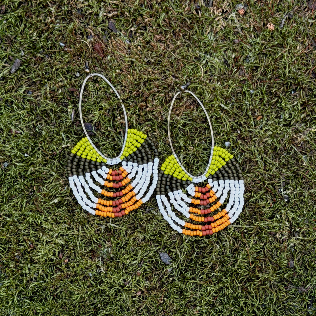 Large Oval Loops